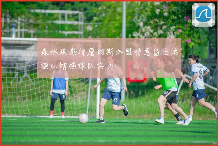 森林狼期待詹姆斯加盟特意留出名额以增强球队实力