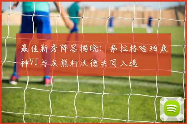 最佳新秀阵容揭晓：弗拉格哈珀康神VJ与灰熊科沃德共同入选