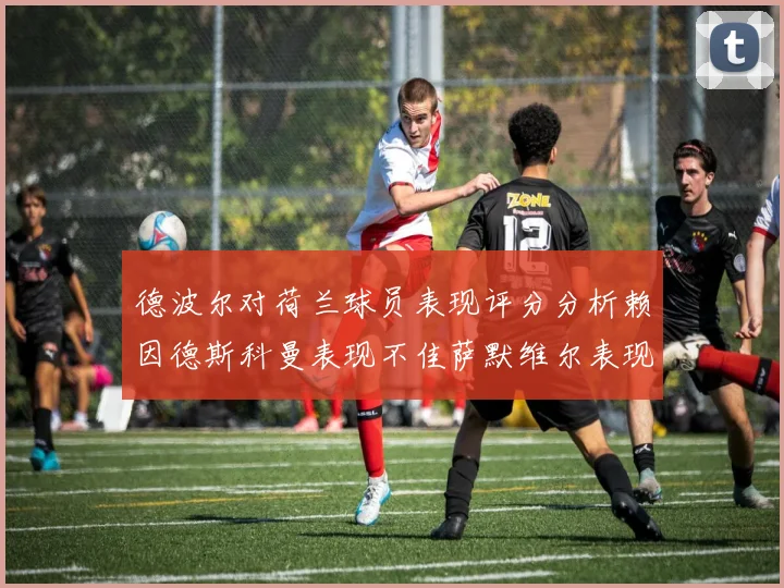 德波尔对荷兰球员表现评分分析赖因德斯科曼表现不佳萨默维尔表现出色